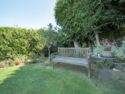 Picture 11